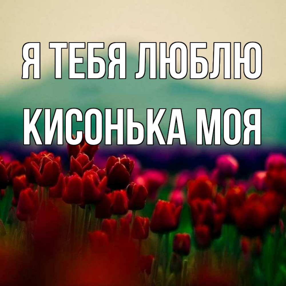 Я люблю королеву. Я люблю королеву
