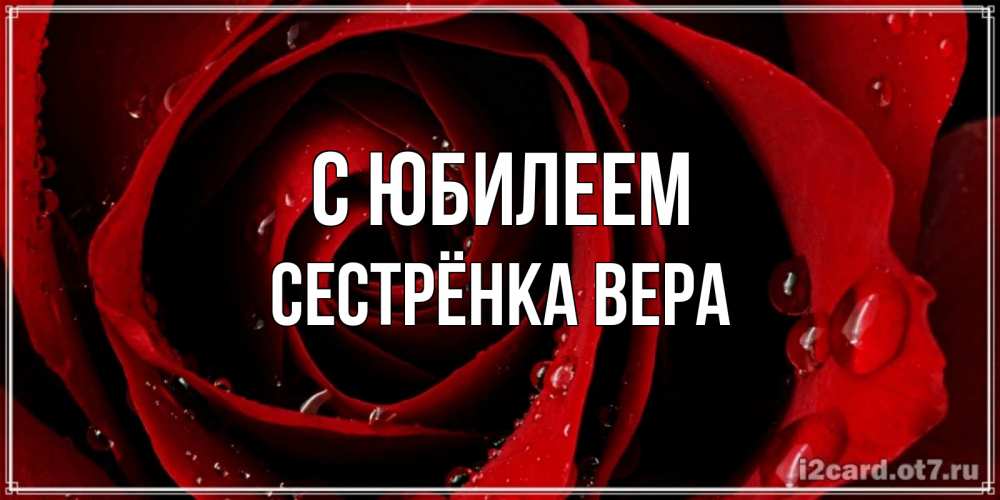 Открытка на каждый день с именем, Сестрёнка-Вера С юбилеем крупная бордовая роза Прикольная открытка с пожеланием онлайн скачать бесплатно 