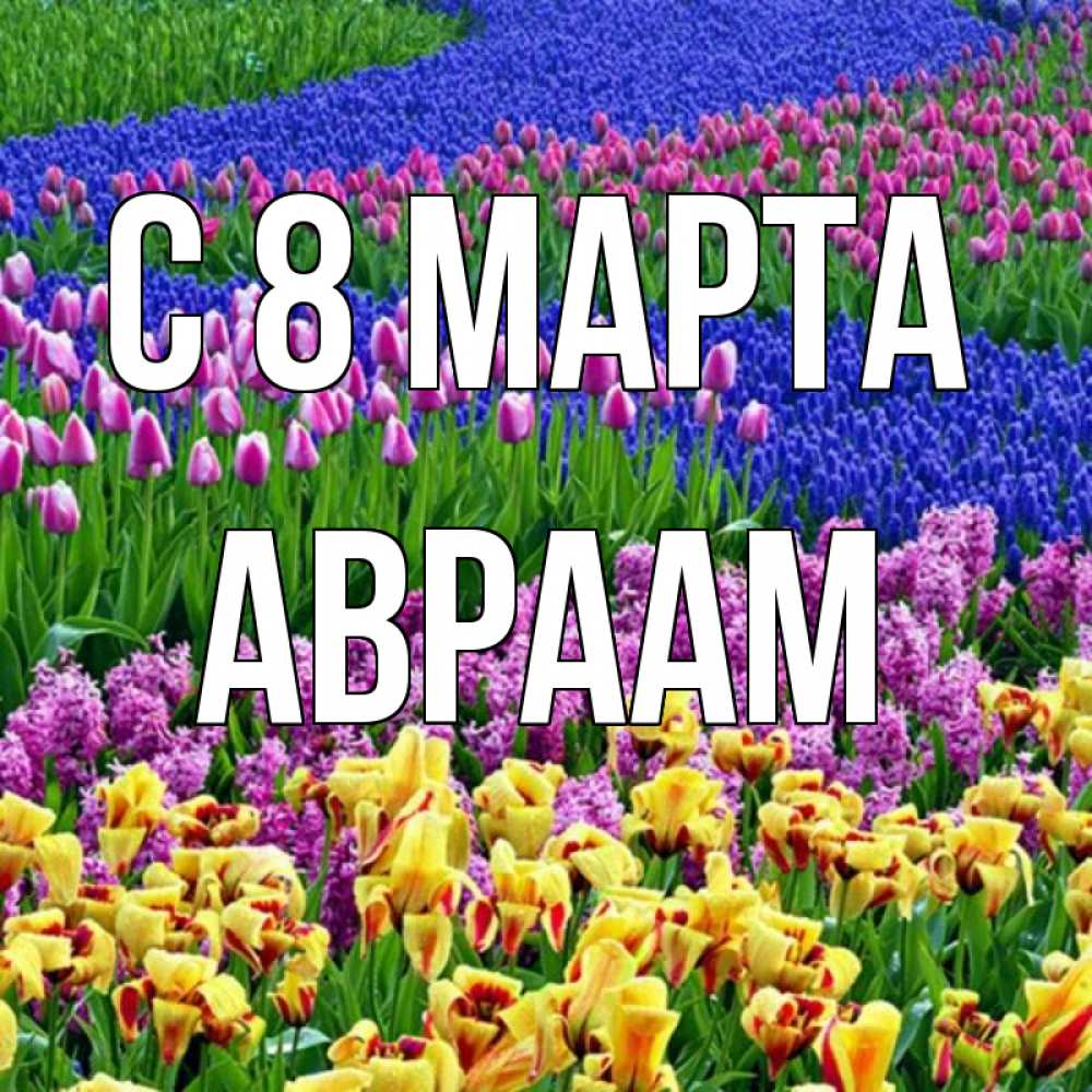 Открытка на каждый день с именем, Авраам С 8 МАРТА цветы Прикольная открытка с пожеланием онлайн скачать бесплатно 