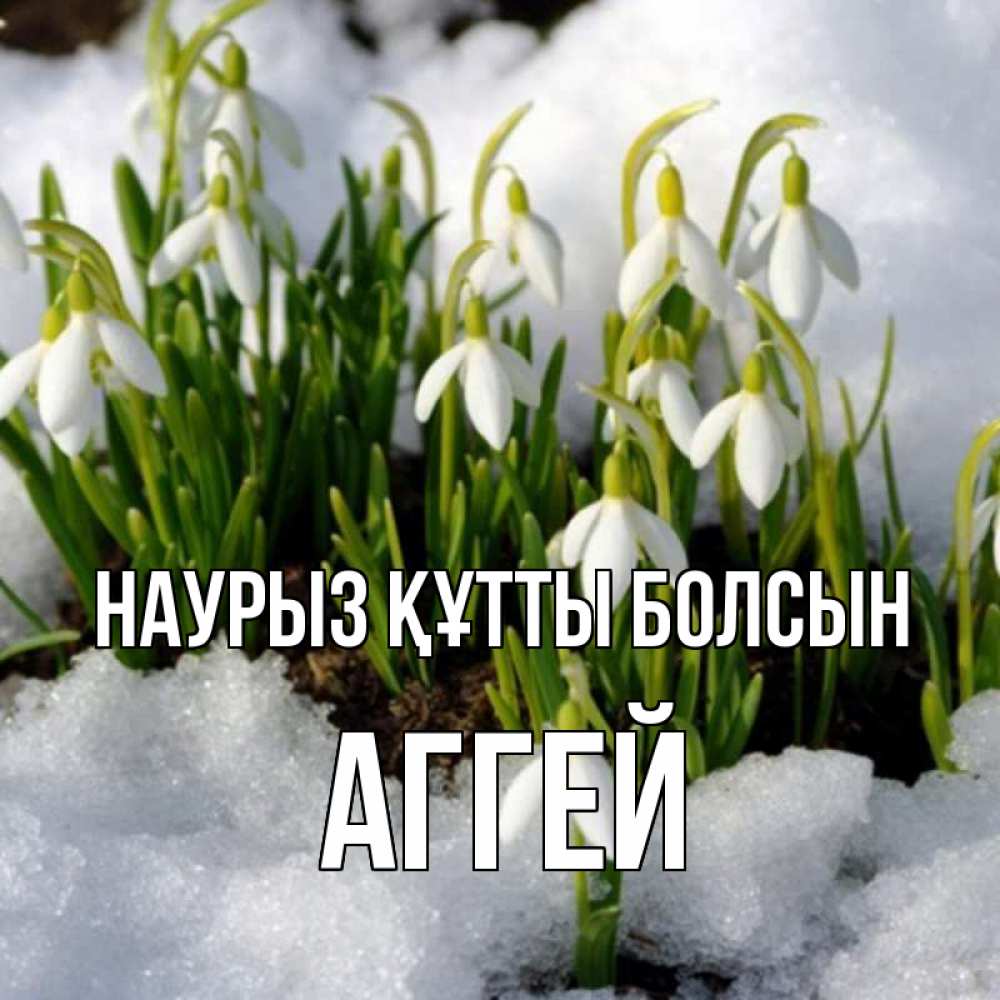 Открытка на каждый день с именем, Аггей Наурыз құтты болсын цветы весенние Прикольная открытка с пожеланием онлайн скачать бесплатно 
