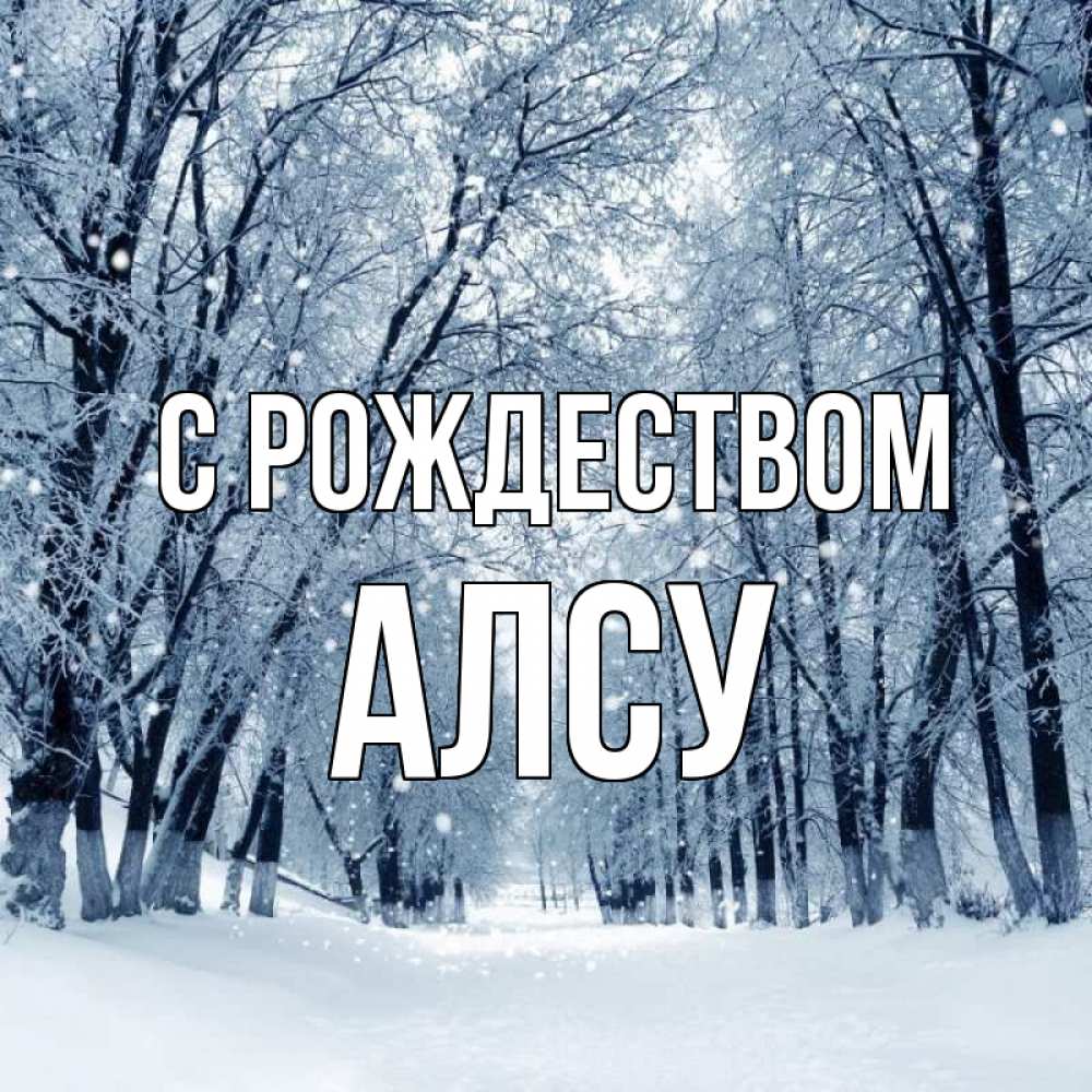 Открытка на каждый день с именем, Алсу С рождеством снег, лес, парк Прикольная открытка с пожеланием онлайн скачать бесплатно 