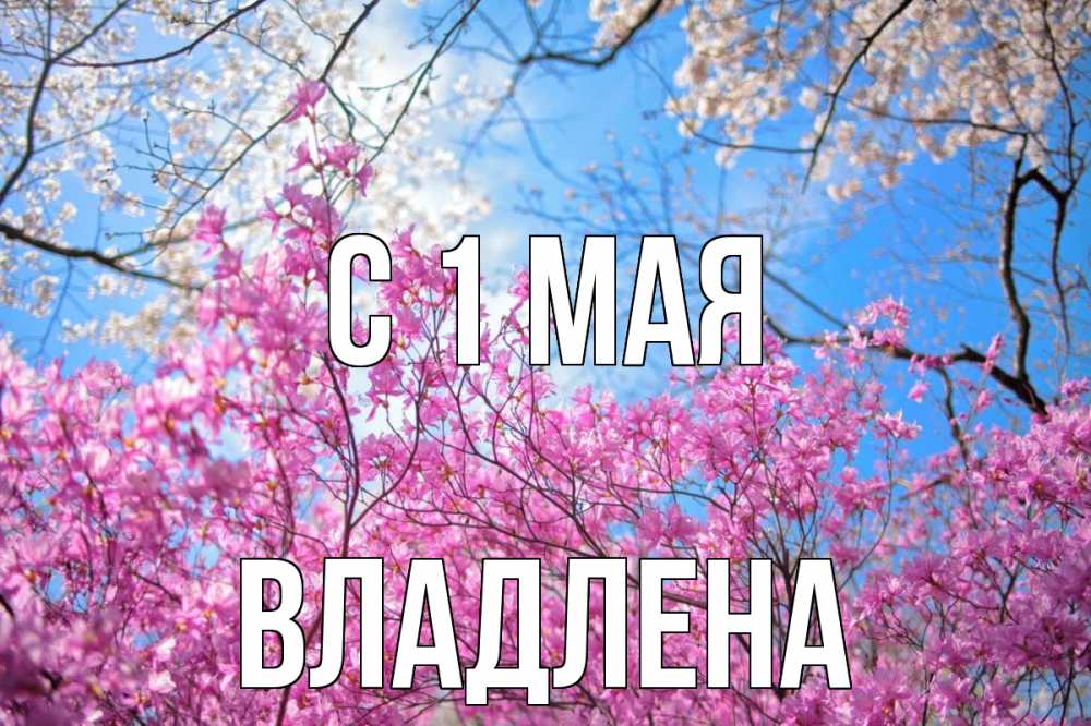 Открытка на каждый день с именем, Владлена С 1 мая С 1 мая Прикольная открытка с пожеланием онлайн скачать бесплатно 