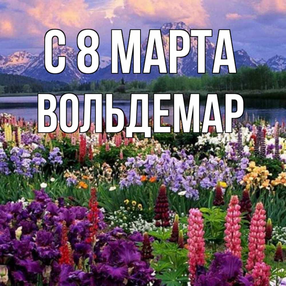 Открытка на каждый день с именем, Вольдемар С 8 МАРТА международный женский день Прикольная открытка с пожеланием онлайн скачать бесплатно 