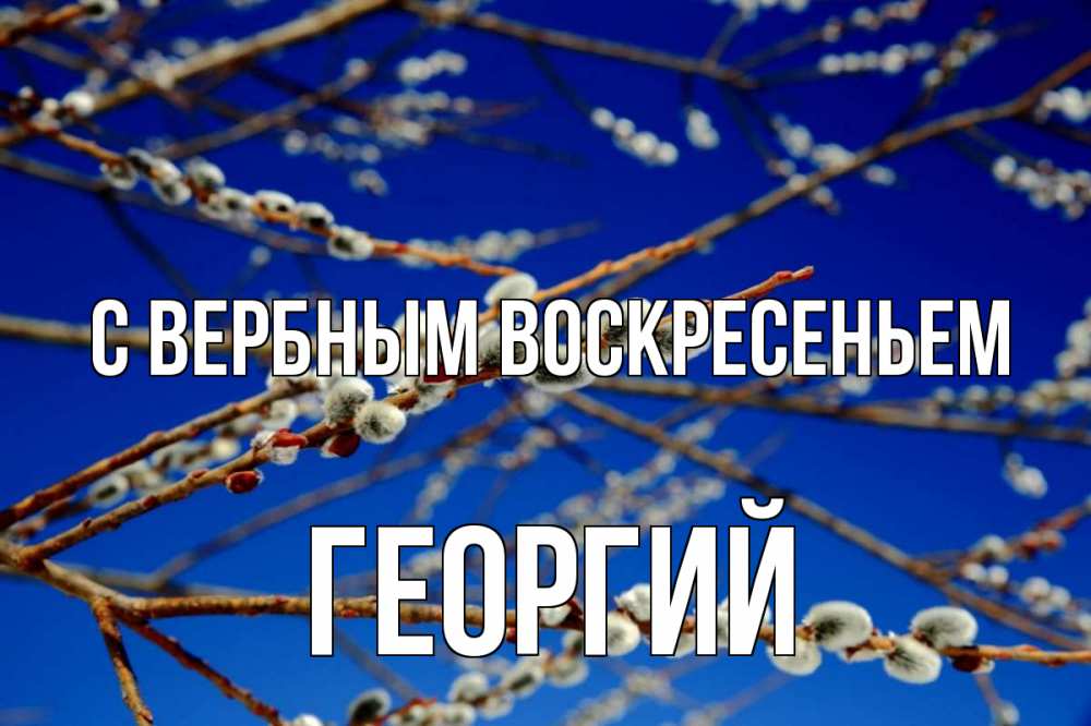 Открытка на каждый день с именем, Георгий С вербным воскресеньем верба Прикольная открытка с пожеланием онлайн скачать бесплатно 