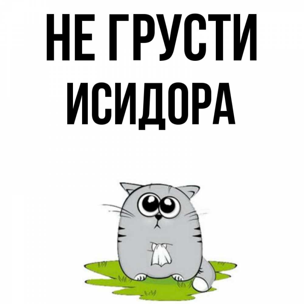 Открытка на каждый день с именем, Исидора Не грусти грустный котяра Прикольная открытка с пожеланием онлайн скачать бесплатно 