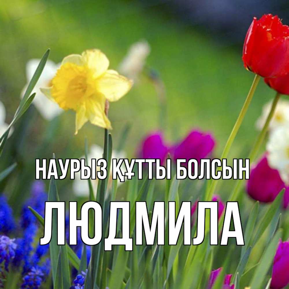 Открытка на каждый день с именем, Людмила Наурыз құтты болсын наурыз  3 открытки Прикольная открытка с пожеланием онлайн скачать бесплатно 