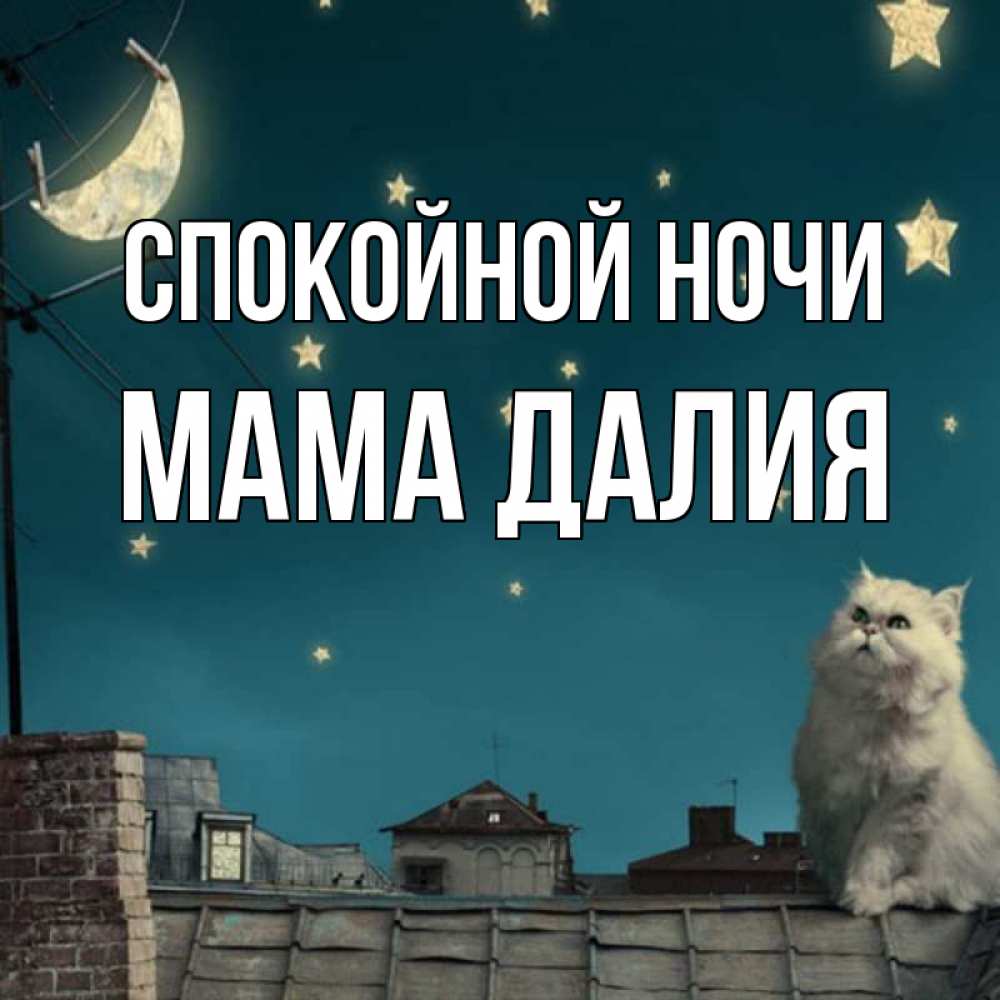 Открытка на каждый день с именем, Мама-Далия Спокойной ночи белый кот сидит на крыше Прикольная открытка с пожеланием онлайн скачать бесплатно 