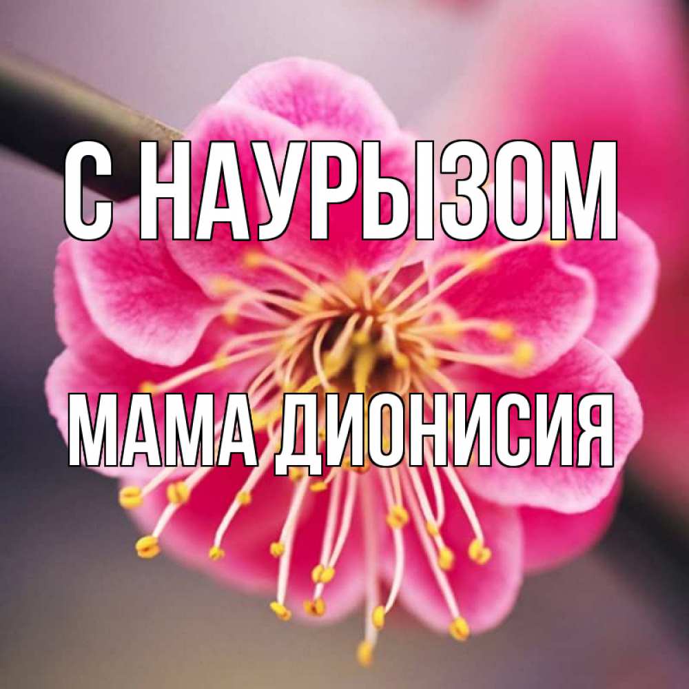 Открытка на каждый день с именем, Мама-Дионисия С наурызом цветы Прикольная открытка с пожеланием онлайн скачать бесплатно 