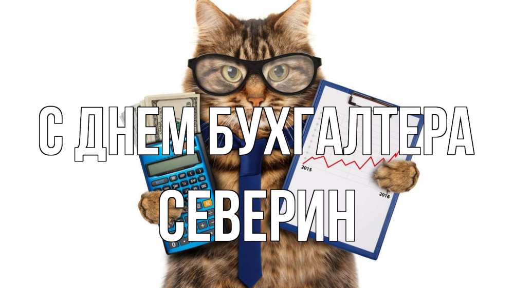 Открытка на каждый день с именем, Северин С днем бухгалтера с днем бухгалтера Прикольная открытка с пожеланием онлайн скачать бесплатно 