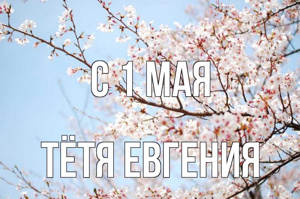 Открытка на каждый день с именем, Тётя-Евгения С 1 мая С 1 мая Прикольная открытка с пожеланием онлайн скачать бесплатно 