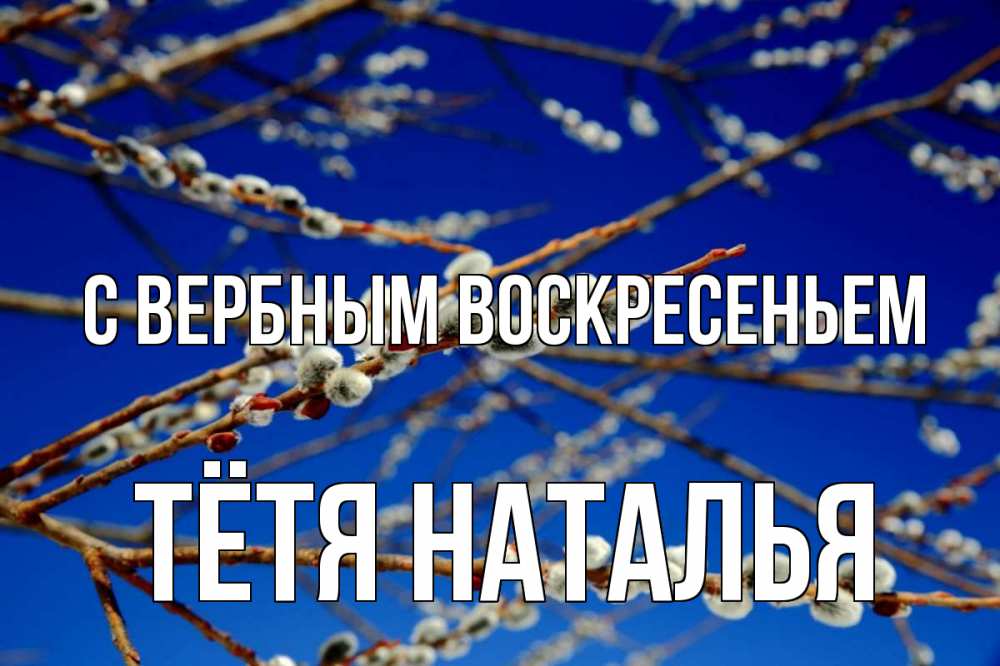 Открытка на каждый день с именем, Тётя-Наталья С вербным воскресеньем верба Прикольная открытка с пожеланием онлайн скачать бесплатно 