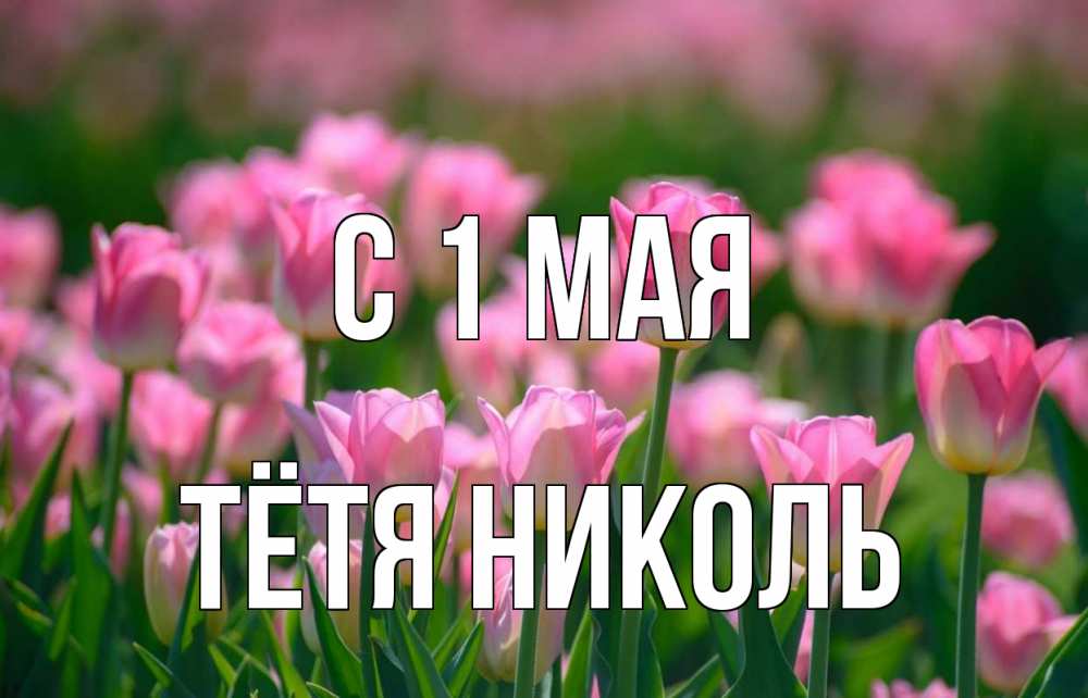 Открытка на каждый день с именем, Тётя-Николь С 1 мая С 1 мая Прикольная открытка с пожеланием онлайн скачать бесплатно 