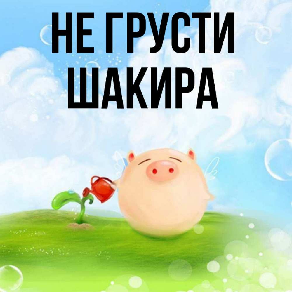 Открытка на каждый день с именем, Шакира Не грусти поливает цветок порося Прикольная открытка с пожеланием онлайн скачать бесплатно 