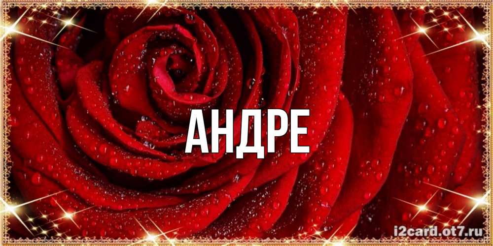имя андра