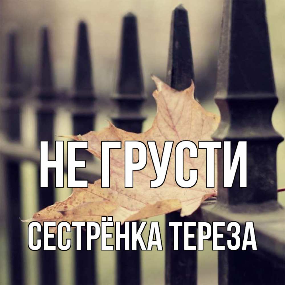 Открытка на каждый день с именем, Сестрёнка-Тереза Не грусти лист клена Прикольная открытка с пожеланием онлайн скачать бесплатно 