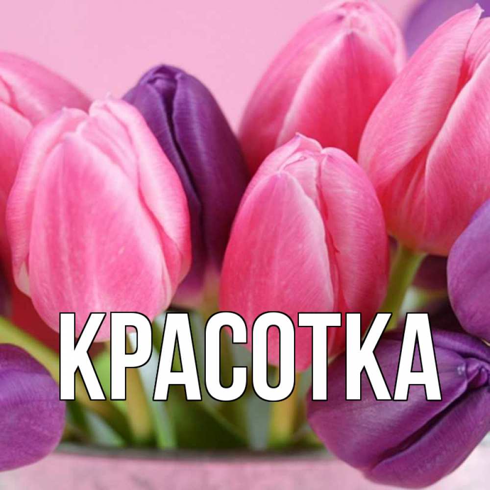 Открытка на каждый день с именем, красотка Главная маме 1 Прикольная открытка с пожеланием онлайн скачать бесплатно 