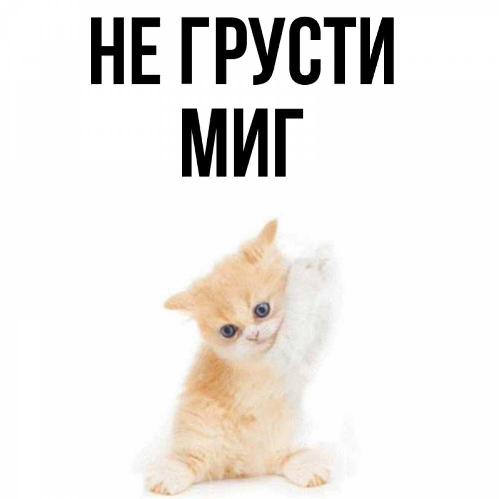 Включи не грусти. Включи не грусти. Не грусти с рыжим котом. Обои с надписью не грусти. I always make you smile.