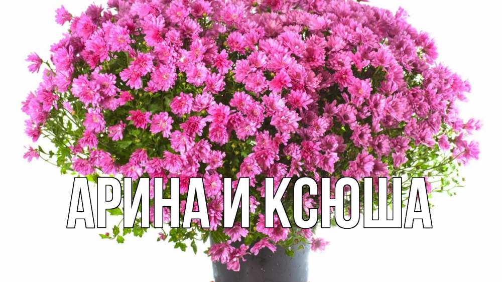 Картинка  с именем , Арина и Ксюша