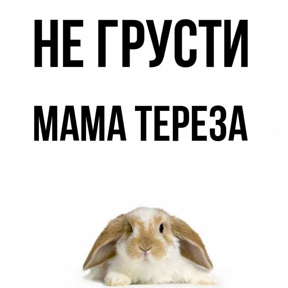 Открытка на каждый день с именем, Мама-Тереза Не грусти коричнево белый заяц с большими ушками Прикольная открытка с пожеланием онлайн скачать бесплатно 