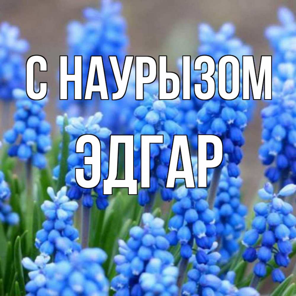 Открытка на каждый день с именем, Эдгар С наурызом Поздравительная открытка для женщин с цветами на праздничную дату Прикольная открытка с пожеланием онлайн скачать бесплатно 