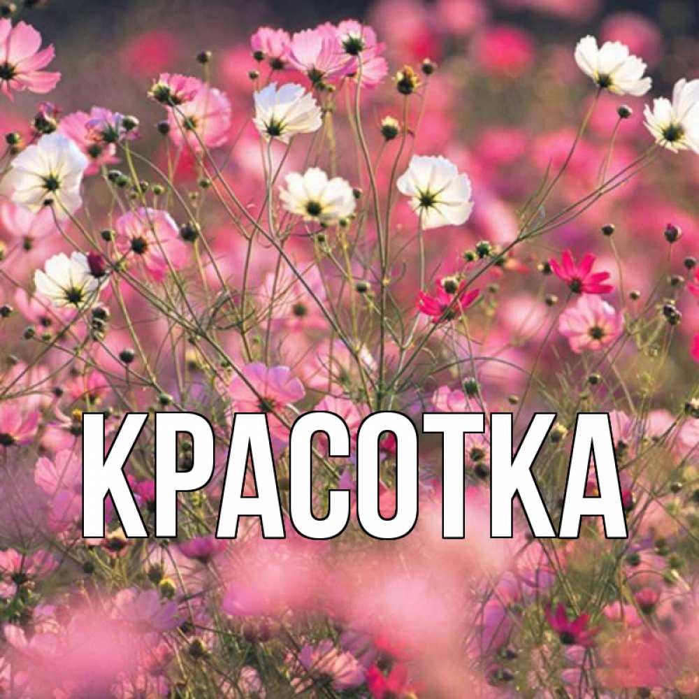 Открытка на каждый день с именем, красотка Главная красиво 1 Прикольная открытка с пожеланием онлайн скачать бесплатно 