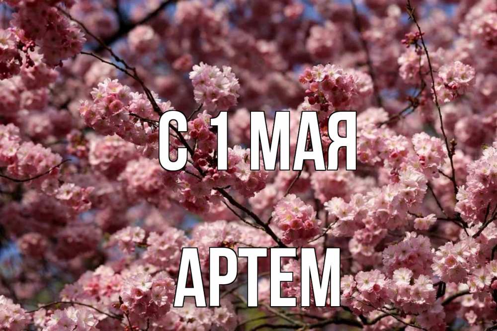 Открытка на каждый день с именем, Артем С 1 мая С 1 мая Прикольная открытка с пожеланием онлайн скачать бесплатно 