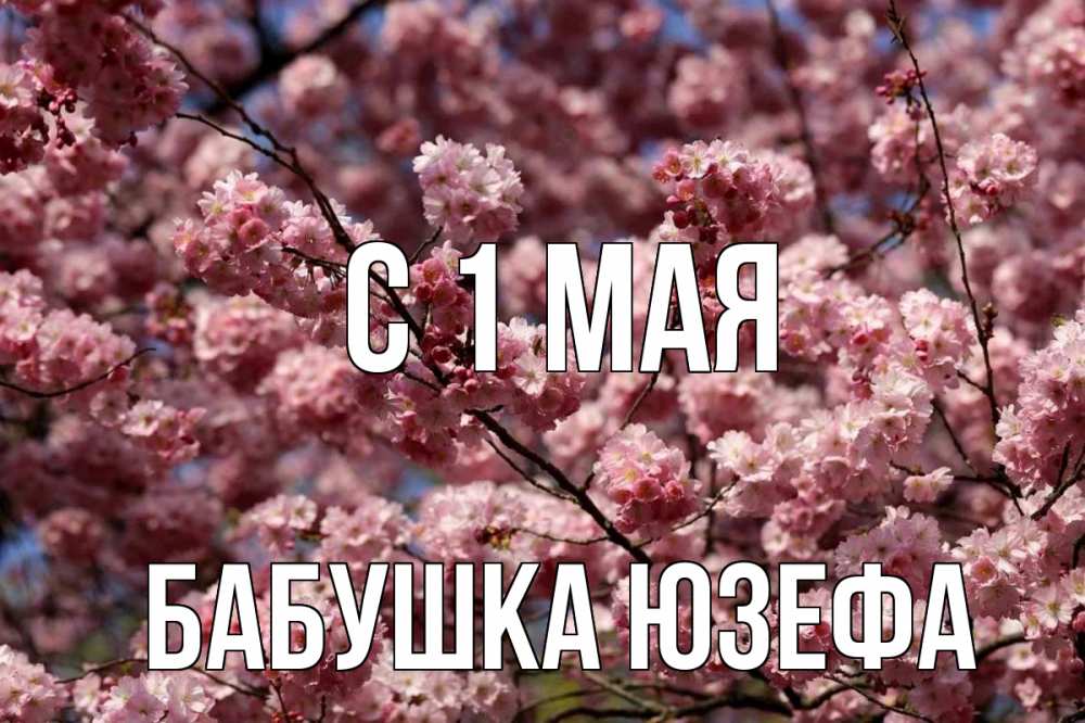 Открытка на каждый день с именем, Бабушка-Юзефа С 1 мая С 1 мая Прикольная открытка с пожеланием онлайн скачать бесплатно 