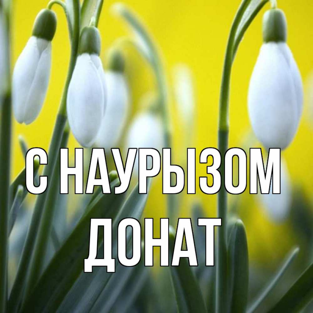 Открытка на каждый день с именем, Донат С наурызом весенние цветы Прикольная открытка с пожеланием онлайн скачать бесплатно 