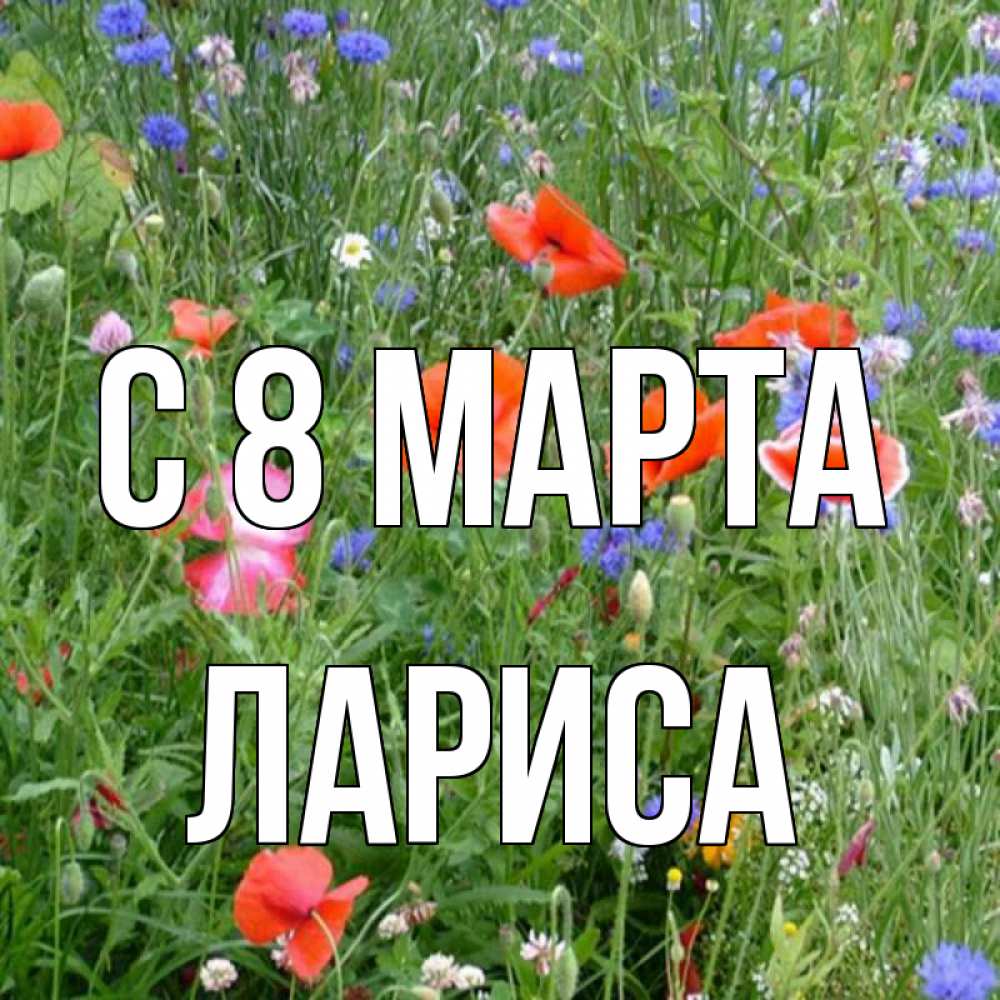 Открытка на каждый день с именем, Лариса С 8 МАРТА международный женский день 4 Прикольная открытка с пожеланием онлайн скачать бесплатно 