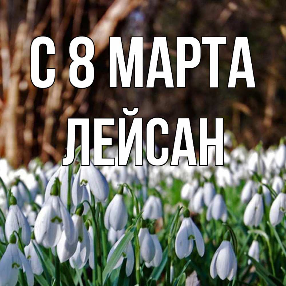 Открытка на каждый день с именем, Лейсан С 8 МАРТА с подснежниками 1 Прикольная открытка с пожеланием онлайн скачать бесплатно 