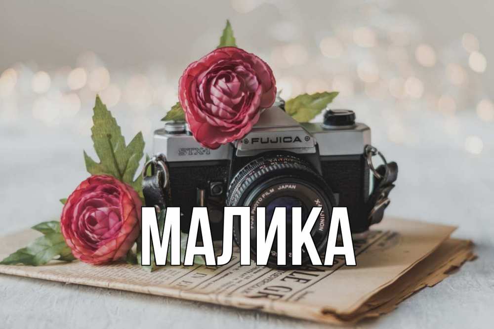 Открытка на каждый день с именем, Малика Главная с днем фотографа Прикольная открытка с пожеланием онлайн скачать бесплатно 