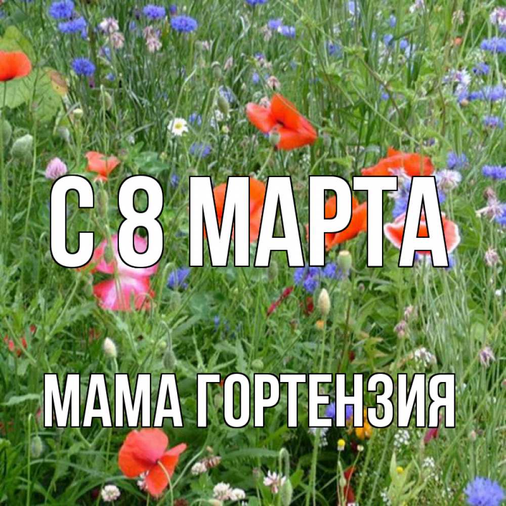 Открытка на каждый день с именем, Мама-Гортензия С 8 МАРТА международный женский день 4 Прикольная открытка с пожеланием онлайн скачать бесплатно 