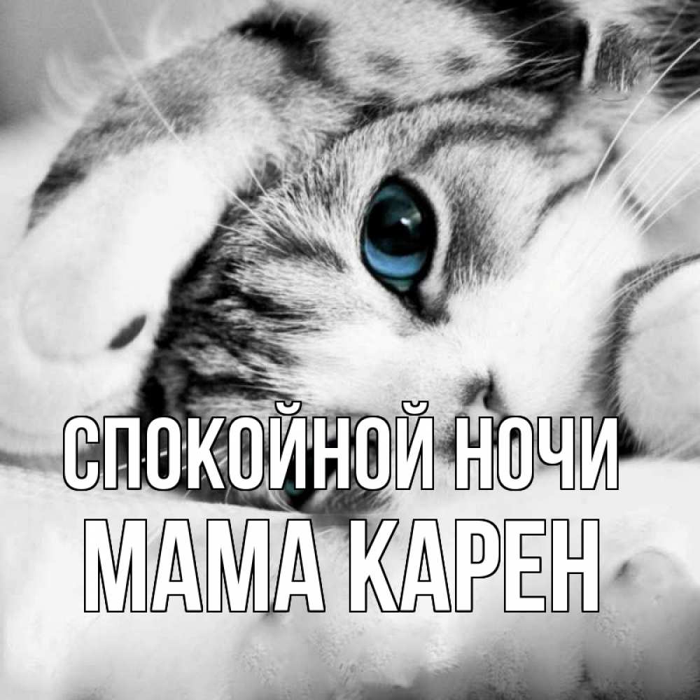 Открытка на каждый день с именем, Мама-Карен Спокойной ночи кот устал Прикольная открытка с пожеланием онлайн скачать бесплатно 