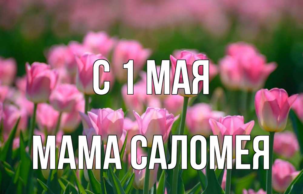 Открытка на каждый день с именем, Мама-Саломея С 1 мая С 1 мая Прикольная открытка с пожеланием онлайн скачать бесплатно 