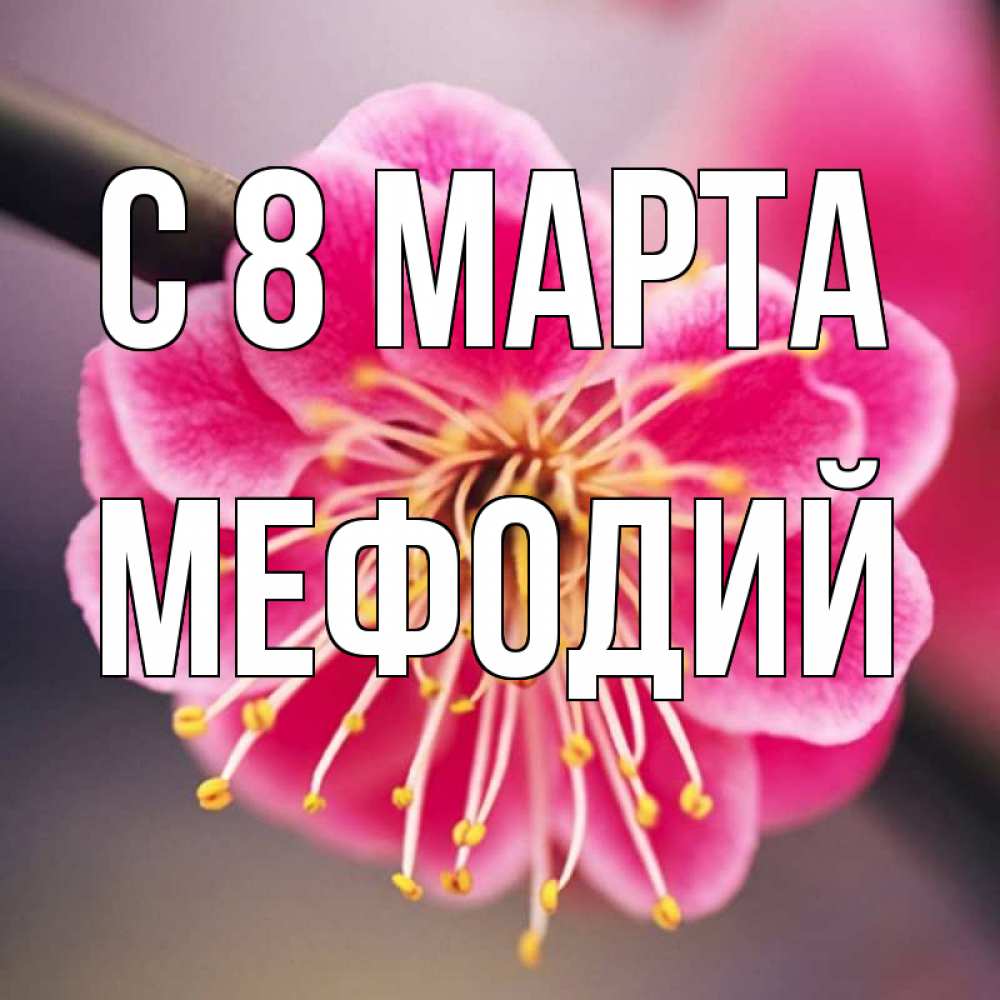 Открытка на каждый день с именем, Мефодий С 8 МАРТА цветы Прикольная открытка с пожеланием онлайн скачать бесплатно 