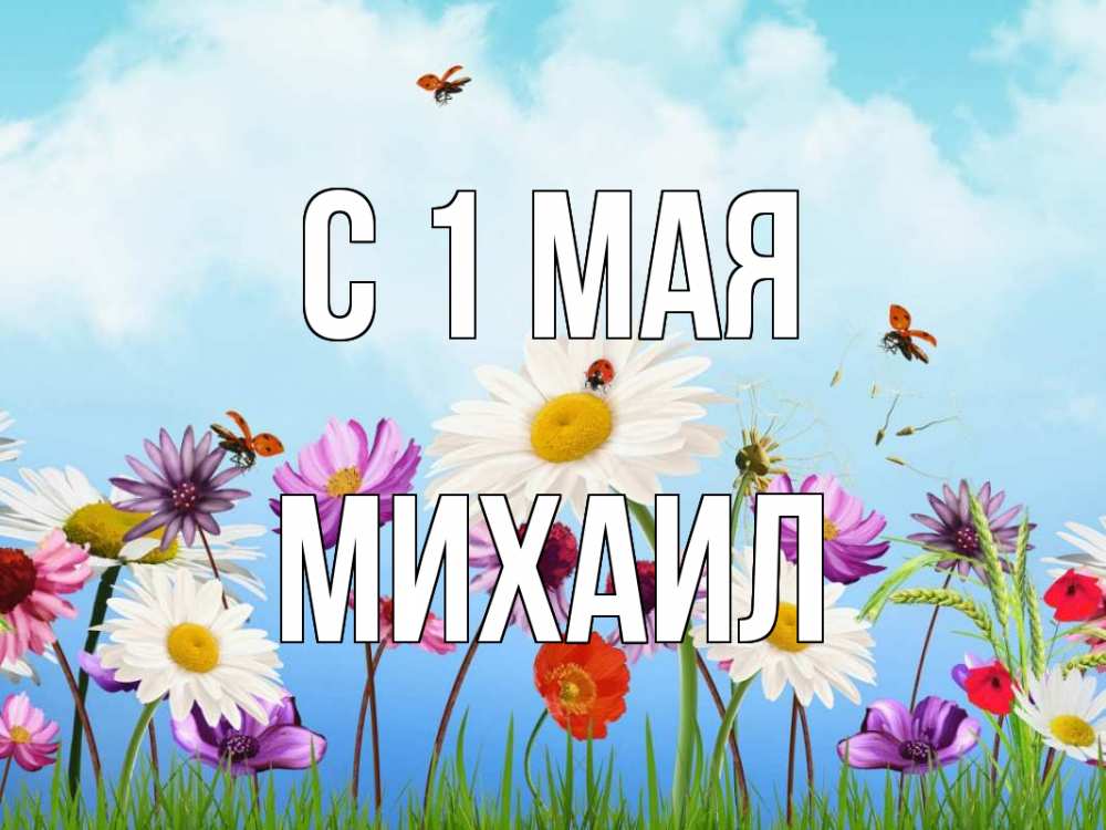 Открытка на каждый день с именем, Михаил С 1 мая С 1 мая Прикольная открытка с пожеланием онлайн скачать бесплатно 