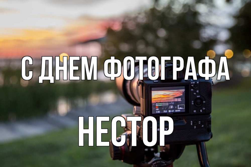 Открытка на каждый день с именем, Нестор С днем фотографа с днем фотографа Прикольная открытка с пожеланием онлайн скачать бесплатно 