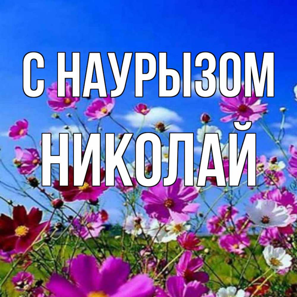 Открытка на каждый день с именем, Николай С наурызом цветы Прикольная открытка с пожеланием онлайн скачать бесплатно 