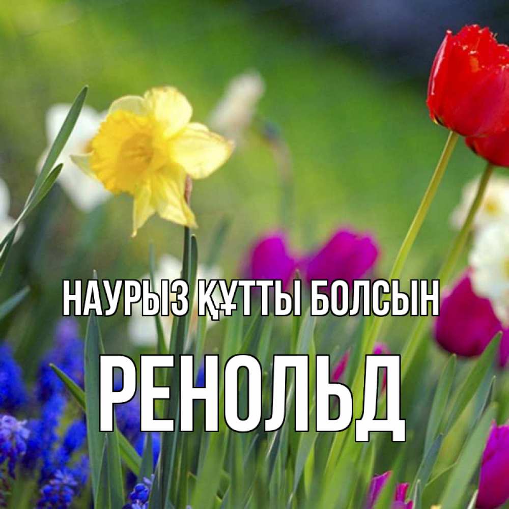 Открытка на каждый день с именем, Ренольд Наурыз құтты болсын наурыз  3 открытки Прикольная открытка с пожеланием онлайн скачать бесплатно 