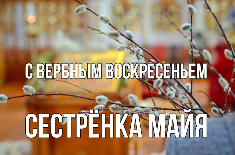 Открытка на каждый день с именем, Сестрёнка-Майя С вербным воскресеньем верба Прикольная открытка с пожеланием онлайн скачать бесплатно 