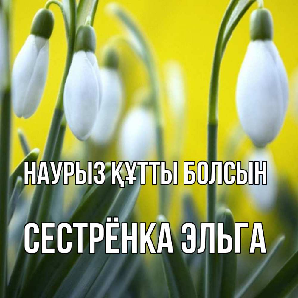 Открытка на каждый день с именем, Сестрёнка-Эльга Наурыз құтты болсын весенние цветы Прикольная открытка с пожеланием онлайн скачать бесплатно 