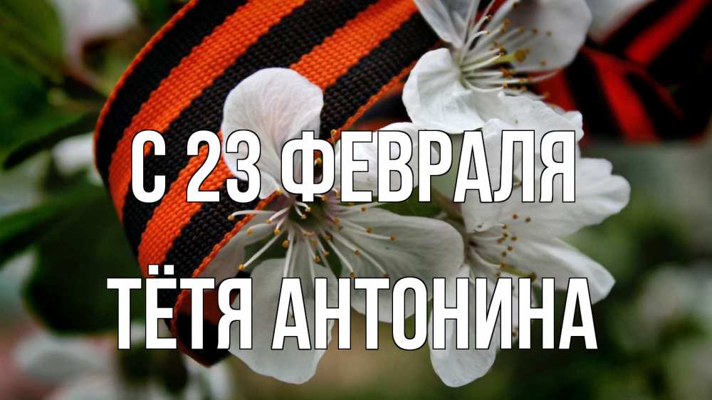 Открытка на каждый день с именем, Тётя-Антонина С 23 февраля 23 февраля Прикольная открытка с пожеланием онлайн скачать бесплатно 