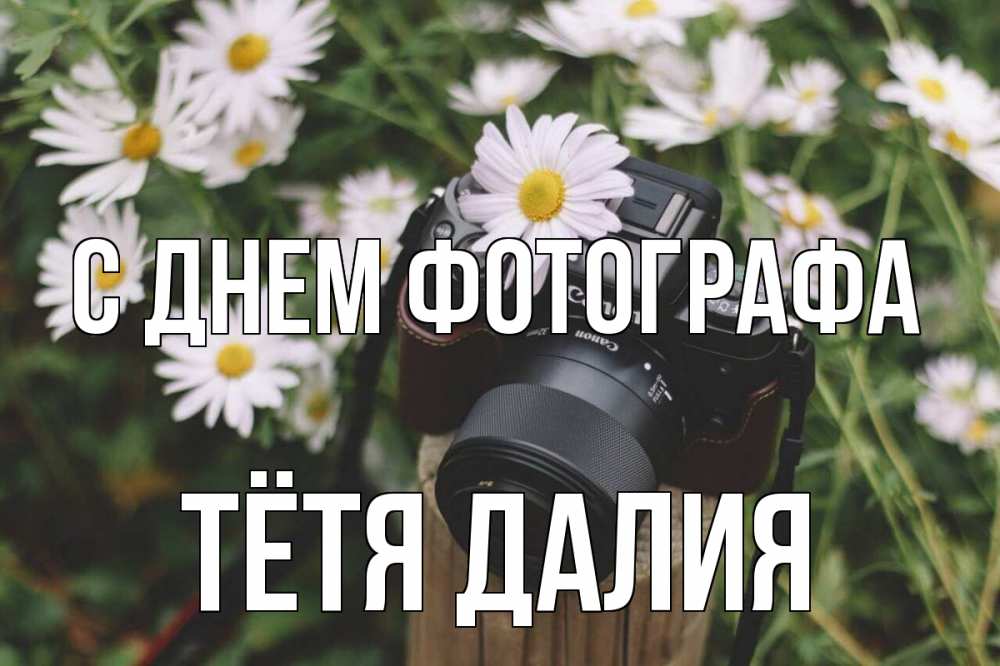 Открытка на каждый день с именем, Тётя-Далия С днем фотографа с днем фотографа Прикольная открытка с пожеланием онлайн скачать бесплатно 