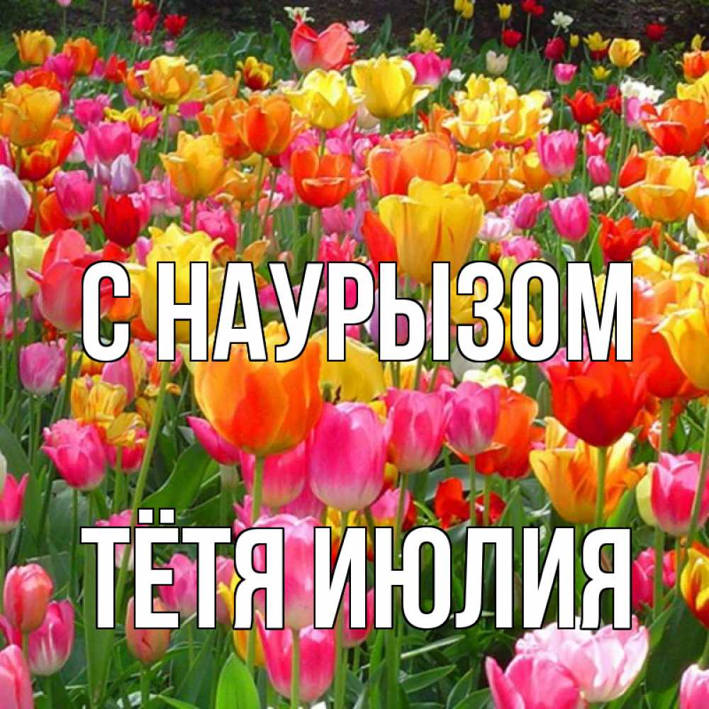 Открытка на каждый день с именем, Тётя-Июлия С наурызом праздник весны наурыз 4 Прикольная открытка с пожеланием онлайн скачать бесплатно 