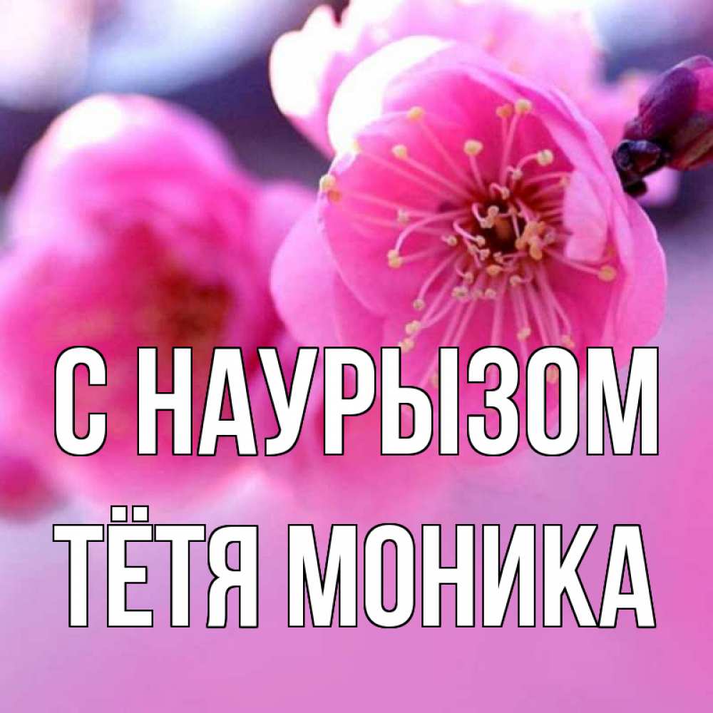 Открытка на каждый день с именем, Тётя-Моника С наурызом международный женский день Прикольная открытка с пожеланием онлайн скачать бесплатно 