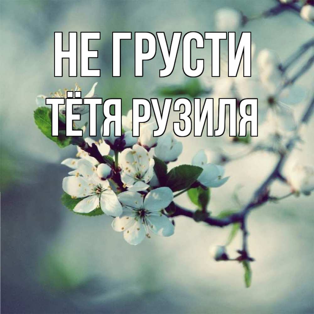 Открытка на каждый день с именем, Тётя-Рузиля Не грусти яблоня в цвету 1 Прикольная открытка с пожеланием онлайн скачать бесплатно 