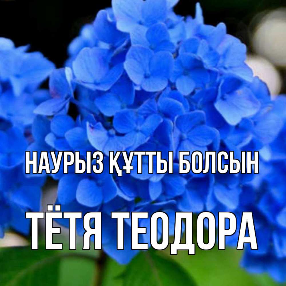 Открытка на каждый день с именем, Тётя-Теодора Наурыз құтты болсын синие цветы Прикольная открытка с пожеланием онлайн скачать бесплатно 