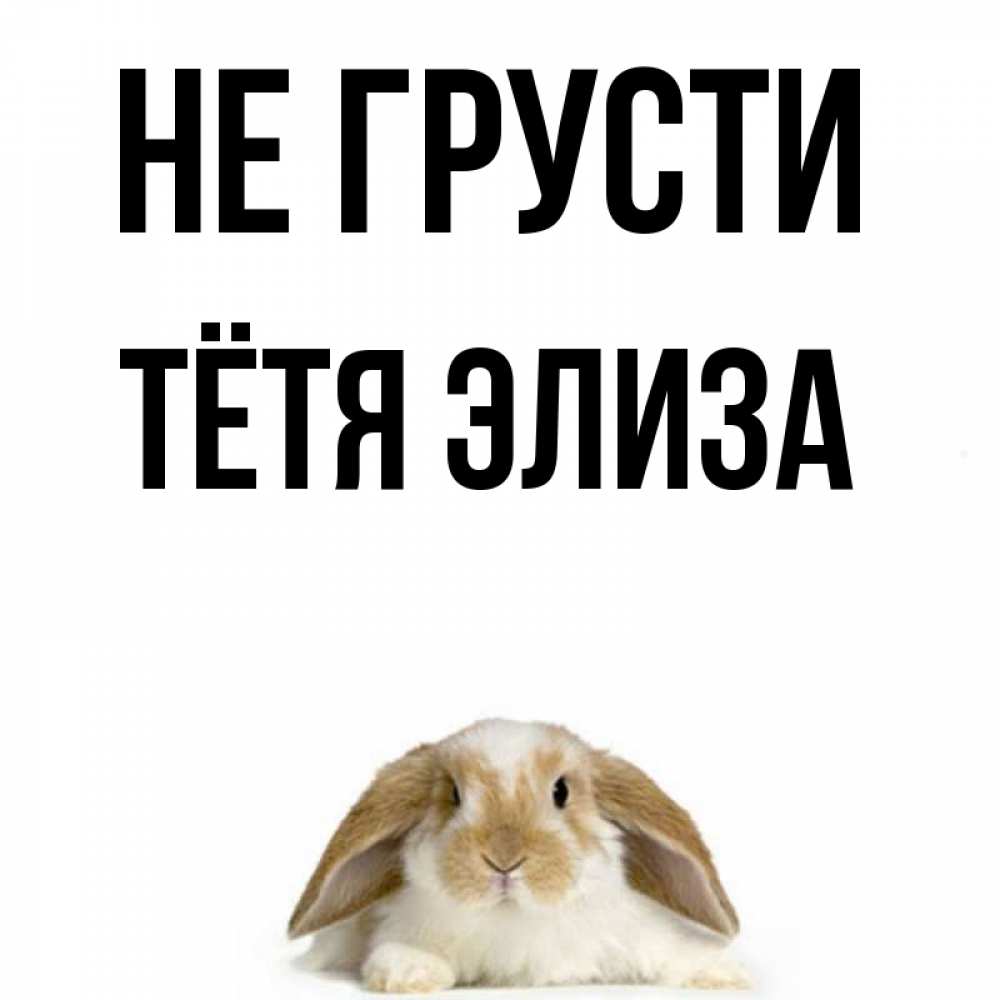 Открытка на каждый день с именем, Тётя-Элиза Не грусти коричнево белый заяц с большими ушками Прикольная открытка с пожеланием онлайн скачать бесплатно 