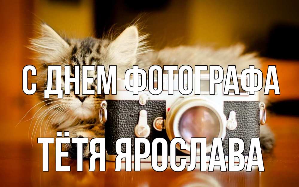 Открытка на каждый день с именем, Тётя-Ярослава С днем фотографа с днем фотографа Прикольная открытка с пожеланием онлайн скачать бесплатно 
