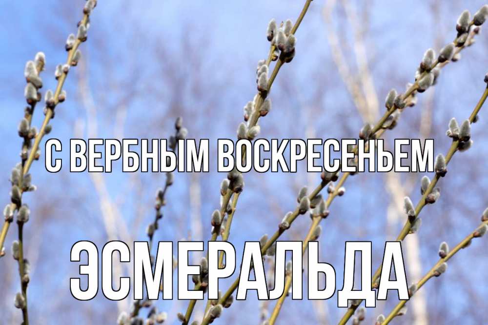 Открытка на каждый день с именем, Эсмеральда С вербным воскресеньем верба Прикольная открытка с пожеланием онлайн скачать бесплатно 